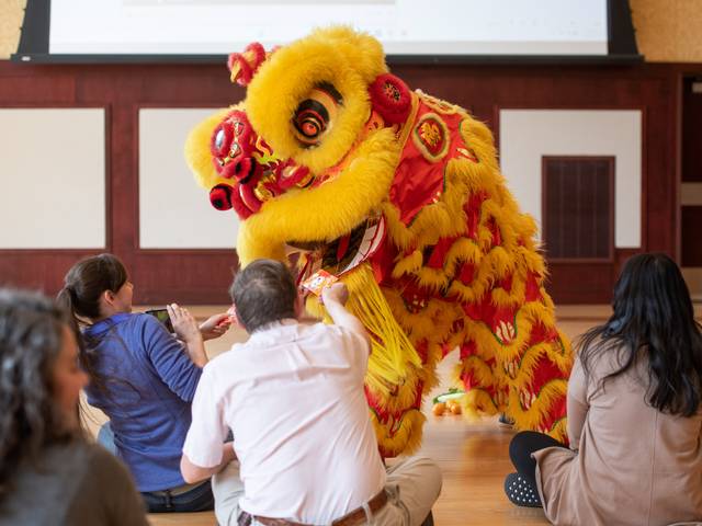 A Chinese lion dance performed in front of a crowd