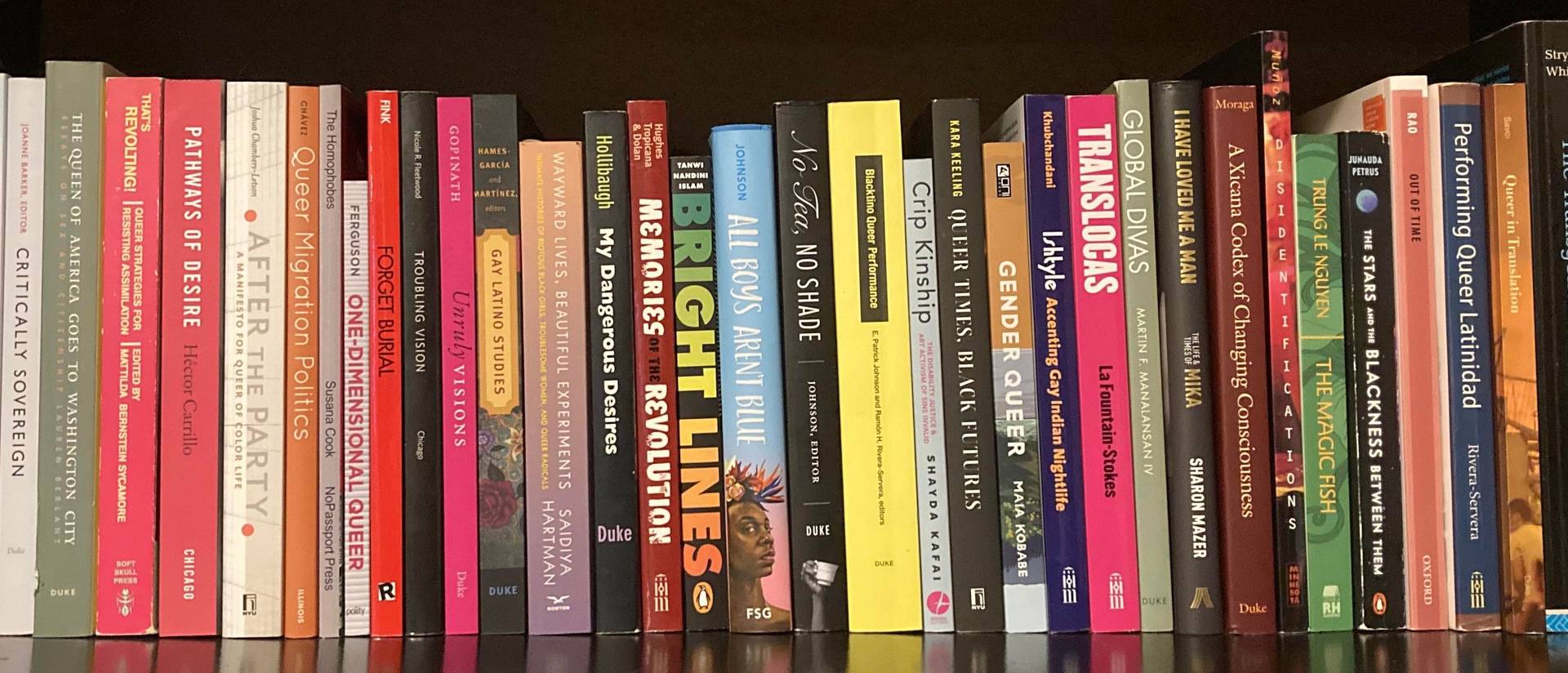 A row of books revolving around gender studies