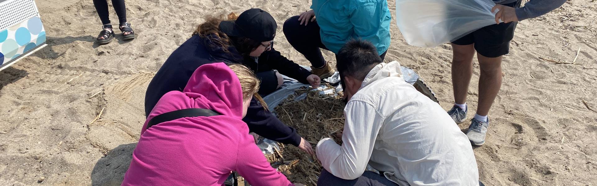 Students crouch on a sandy beach and search straw-like artifacts inside a plastic bag