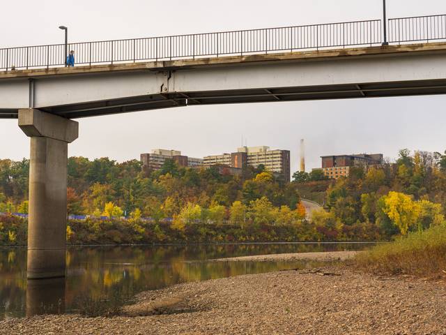 View of campus hill from the shore of the river under the footbridge