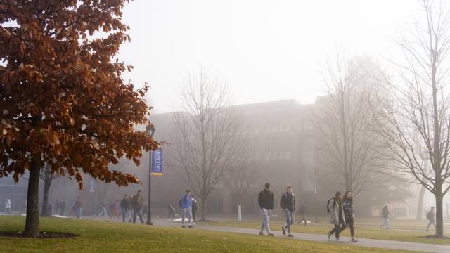 Fogging morning on campus