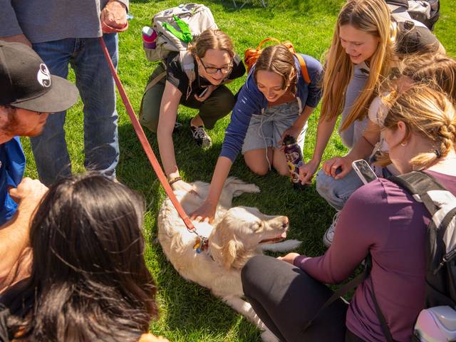 Bark Break day, light colored doodle mix being pet by students