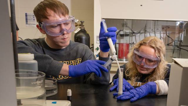 students in chemistry lab using a long syringe to get a foam into a tube