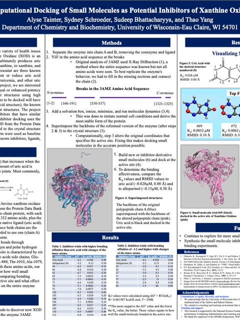 Screenshot of REU poster: Computational Docking of Small Molecules as Potential Inhibitors of Xanthine Oxidase