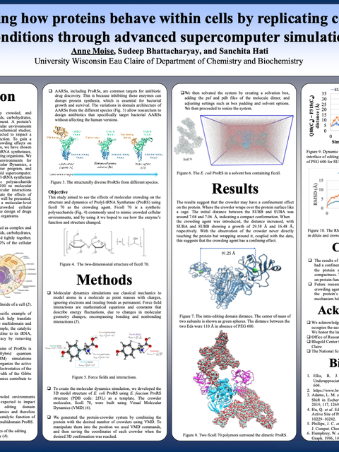 Screenshot of REU poster: Studying how proteins behave within cells by replicating cellular conditions through advanced supercomputer simulation