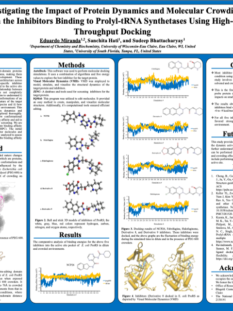 Screenshot of REU poster: Investigating the Impact of Protein Dynamics and Molecular Crowding on the Inhibitors Binding to Prolyl-tRNA Synthetases Using High-Throughput Docking