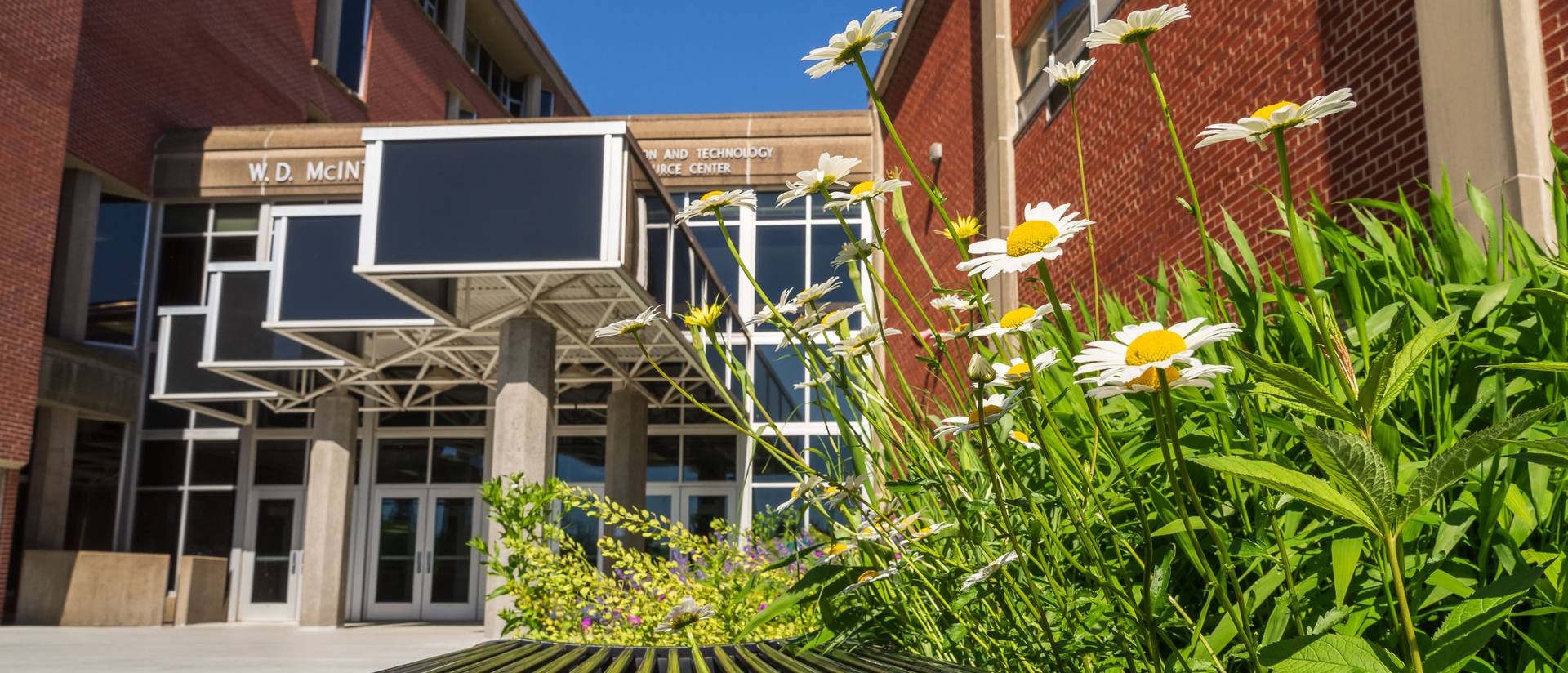 McIntyre Library