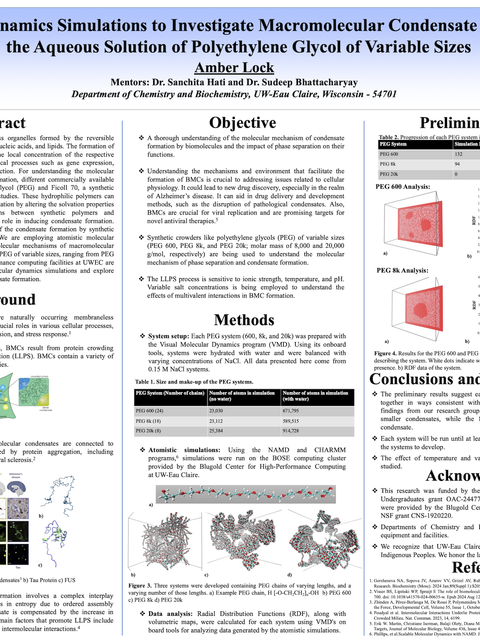 Screenshot of REU poster: Molecular Dynamics Simulations to Investigate Macromolecular Condensate Formation in the Aqueous Solution of Polyethylene Glycol of Variable Sizes