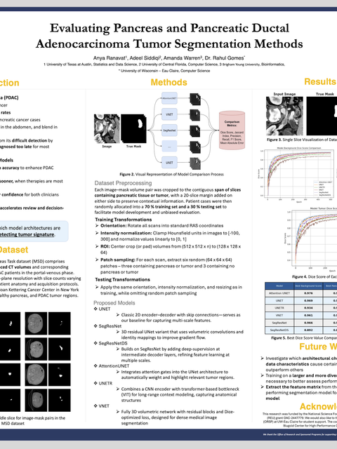 Screenshot of REU poster: Evaluating Pancreas and Pancreatic Ductal Adenocarcinoma Tumor Segmentation Methods