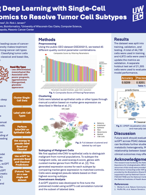 Screenshot of REU poster: Integrating Deep Learning with Single-Cell Transcriptomics to Resolve Tumor Cell Subtypes