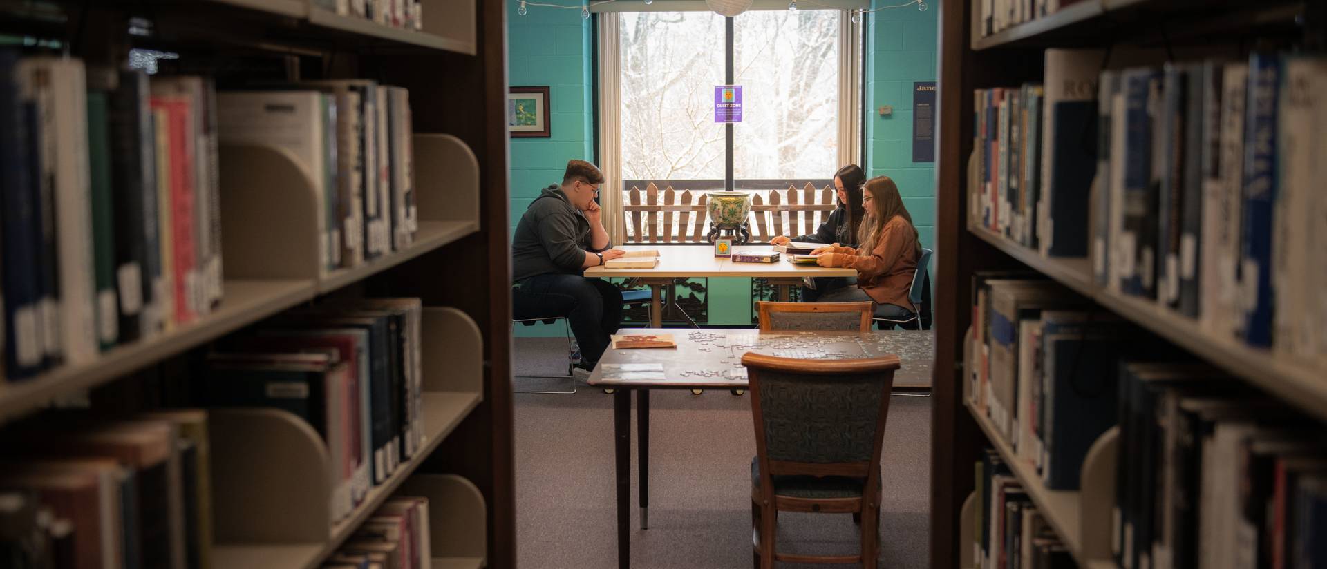 Studying in the Library