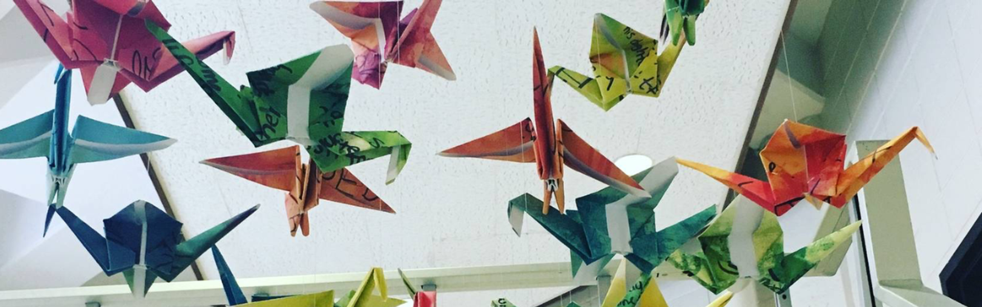 Origami cranes suspended from ceiling