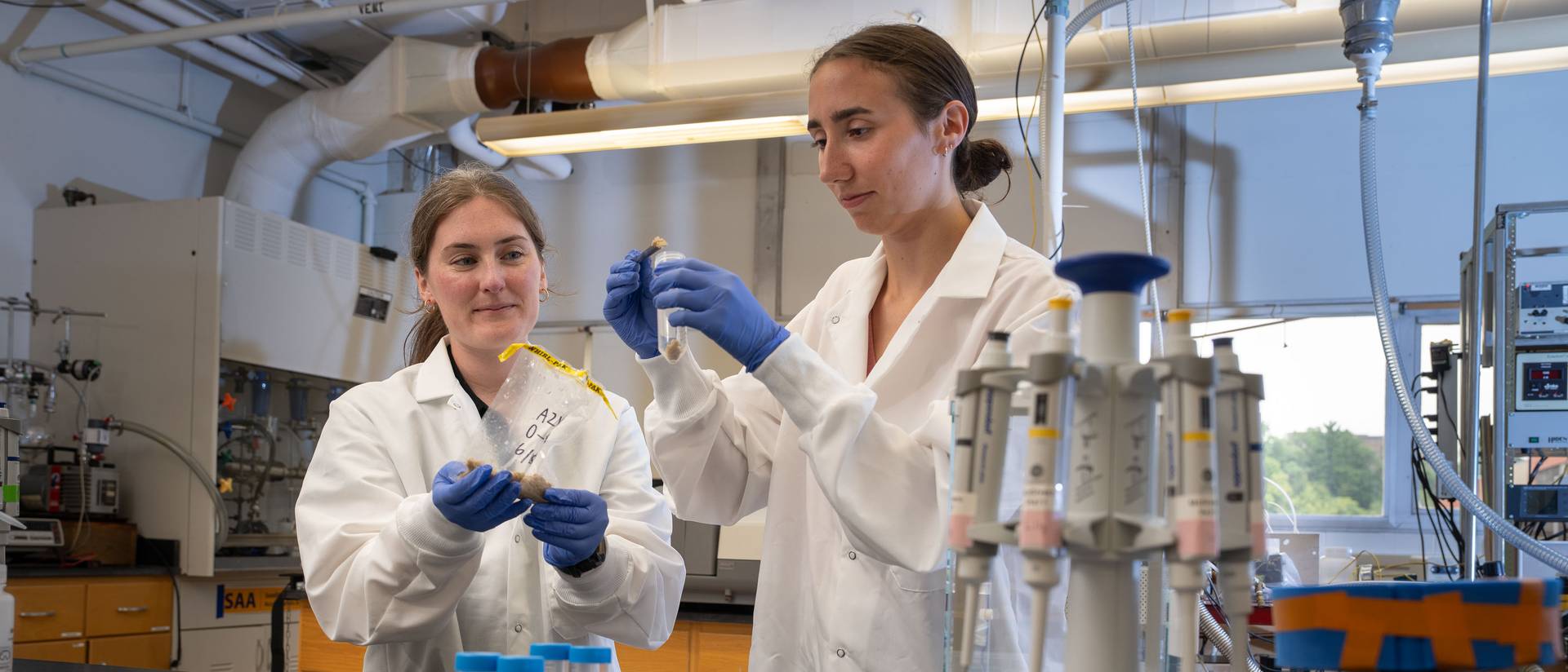 Dr. Bridget McGivern Alena Donahue cranberry soil microbiome research Phillips lab
