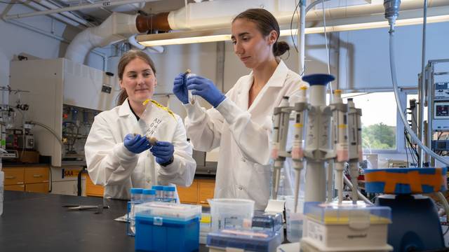 Dr. Bridget McGivern Alena Donahue cranberry soil microbiome research Phillips lab