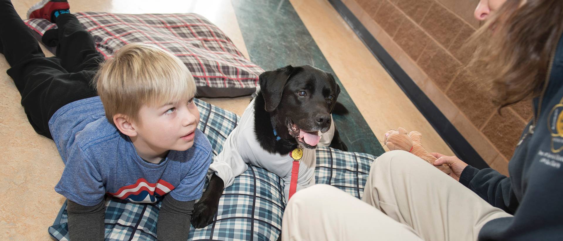 Nicholas Hein, therapy dog Solomon and Dr. Anne Papalia