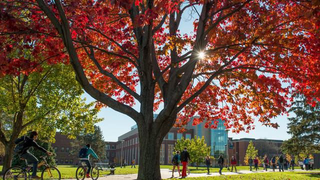 Campus mall and Centennial Hall