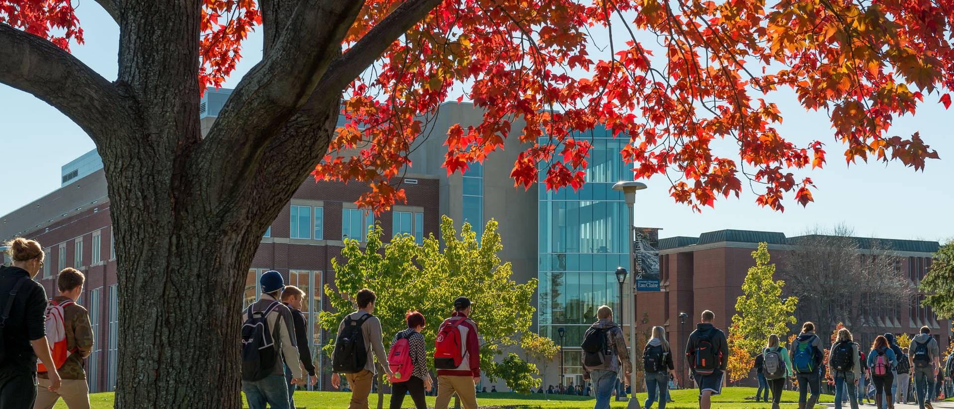 Students walk to class during the fall with a tree in the foreground.