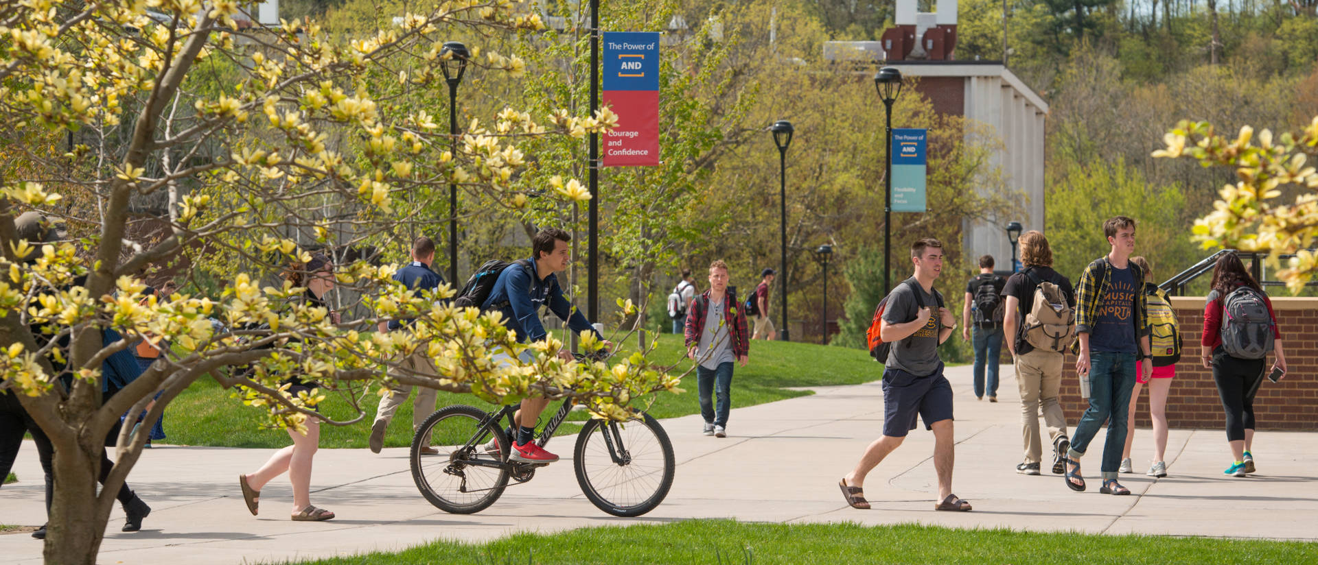 students on campus mall