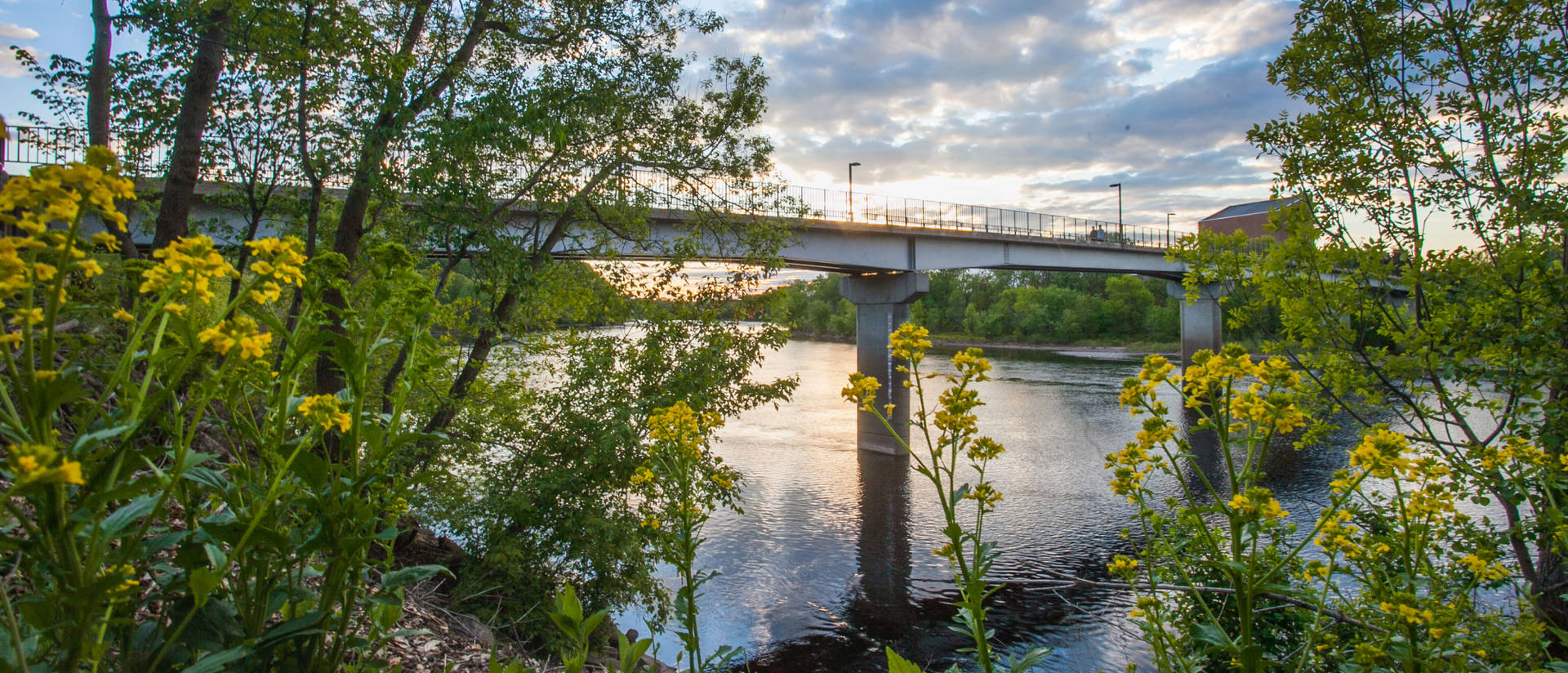 sunset behind campus footbridge