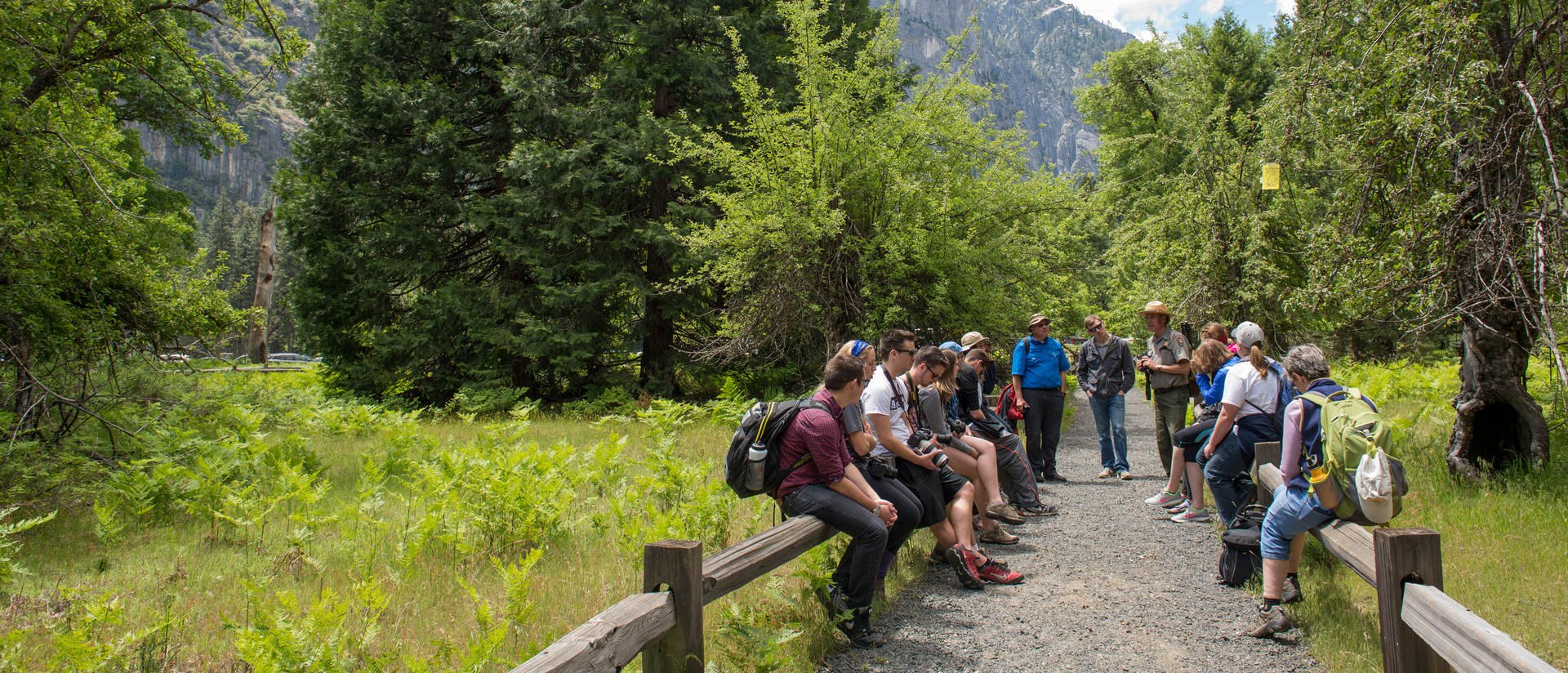 Group of Blugolds at Yosemite National Park.