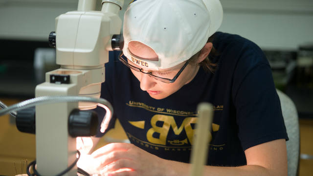 UWEC professor and student working in materials science lab