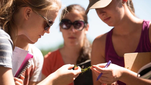 Biology students studying plant life in a field biology research setting