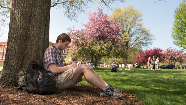 Student studying outside