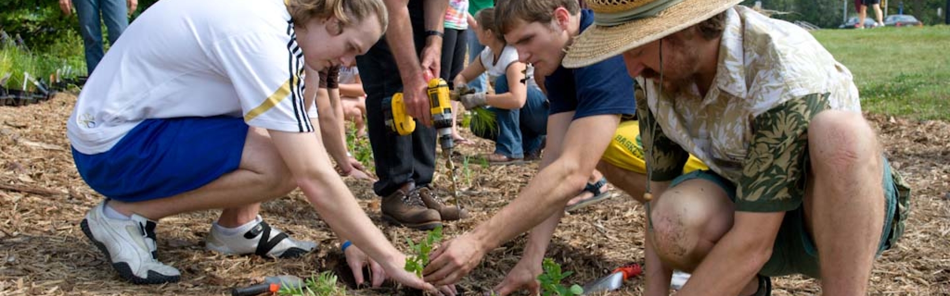 UW-Eau Claire service-learning experience in a local rain garden