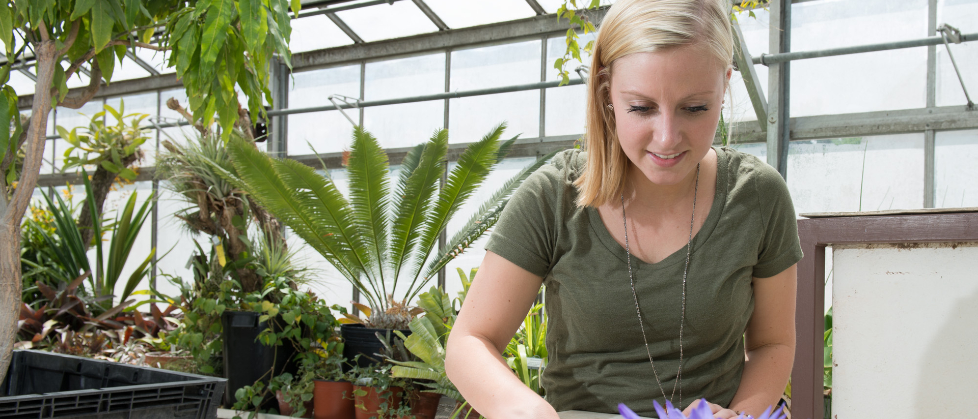 UWEC biology student in greenhouse