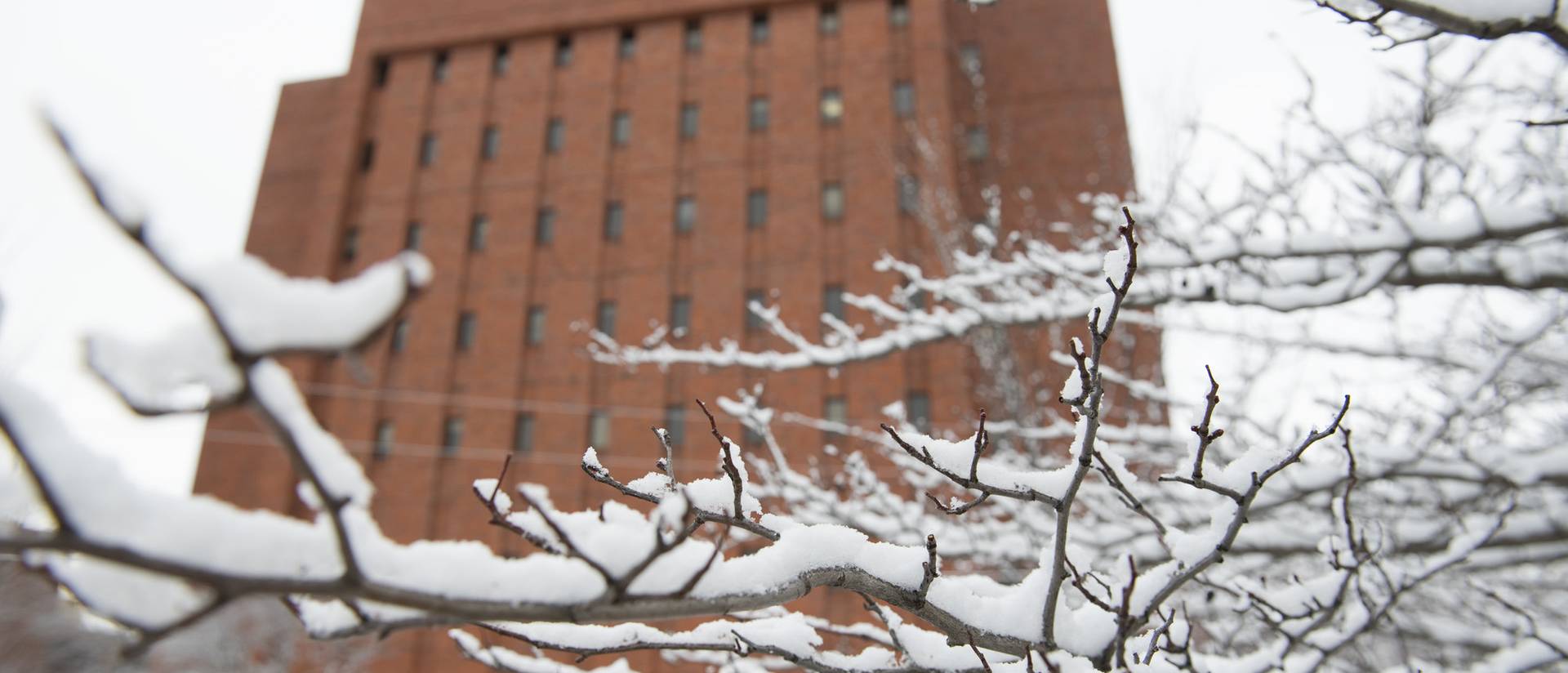 A close-up of snow sitting perfectly on thin branches with Hibbard Hall in the background.
