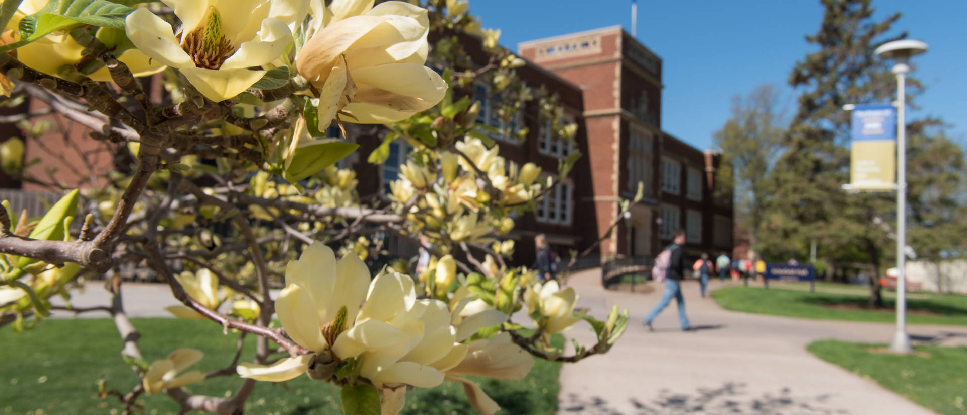 Beautiful flowers outside an even more beautiful Schofield Hall