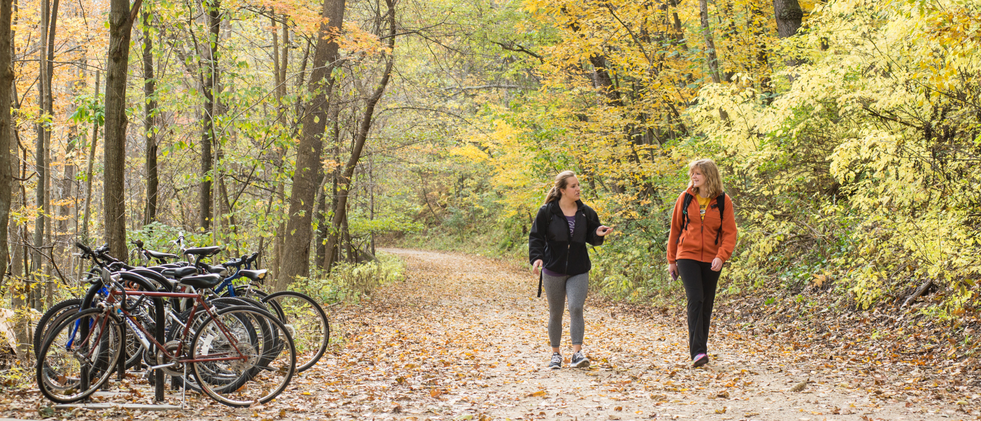 Two pals walking on the beautiful Putnam trail