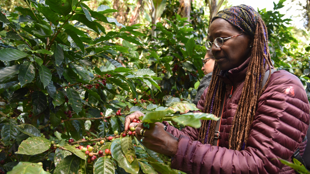 Rose Marie Avin at Nicaraguan coffee farm