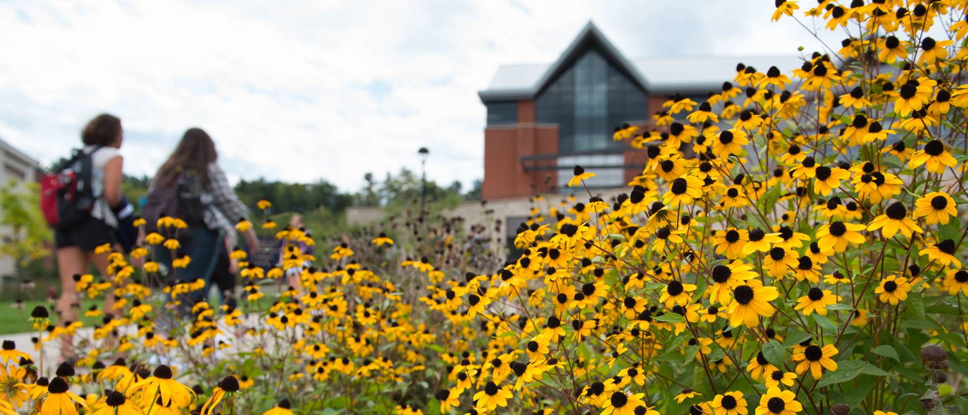 A close-up of yellow daisies outside the Davies Center with students walking past in the background