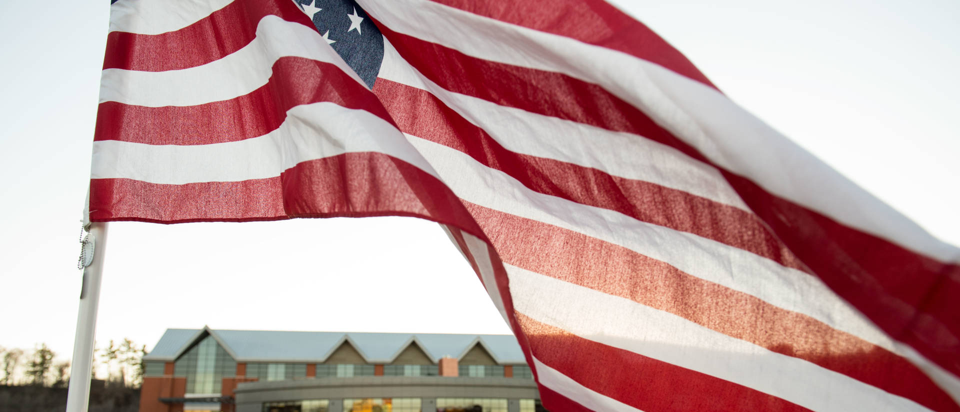 Veterans Day flag display