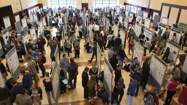 Student research presentations