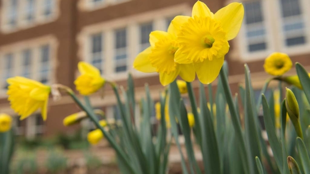 Spring campus shot with flowers.