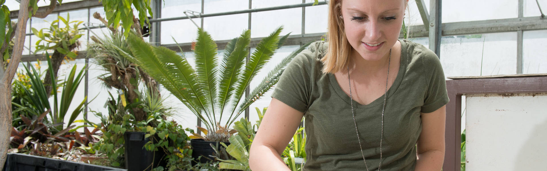 Student tending the greenhouse.
