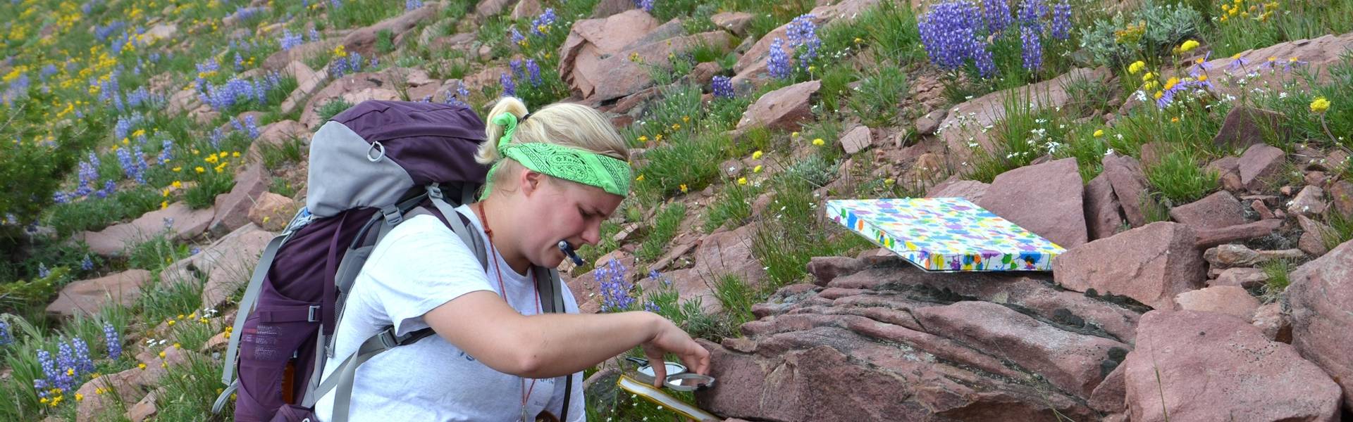 A geology student inspects a small formation of rocks.