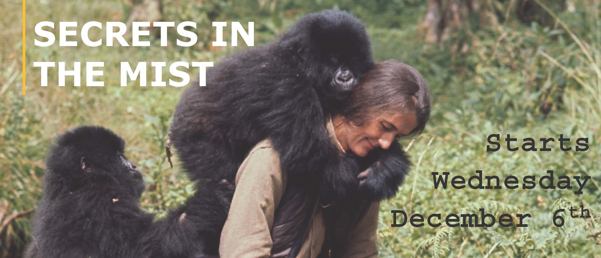 Dian Fossey: Secrets in the Mist 