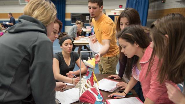 Kinesiology students work on a project