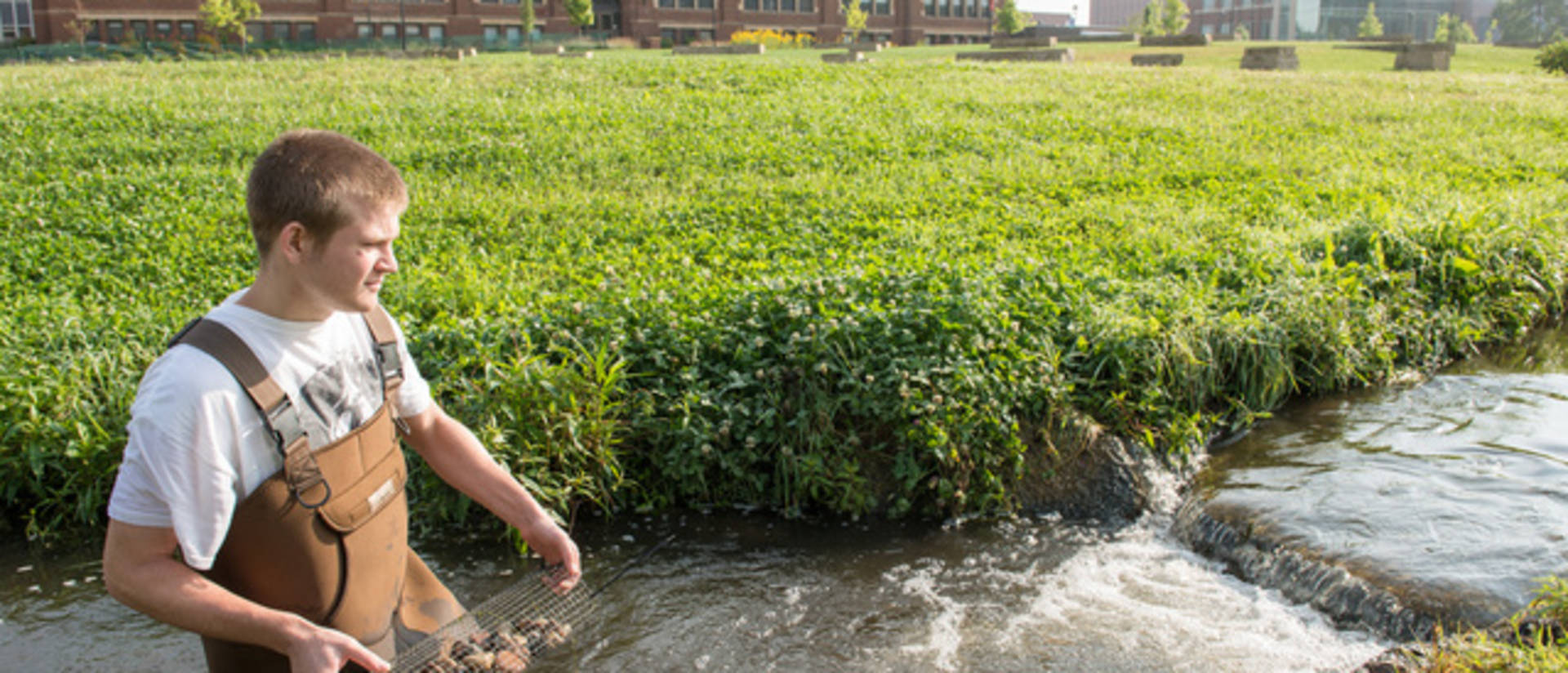 UWEC Students Collect Crayfish near Minnie Creek