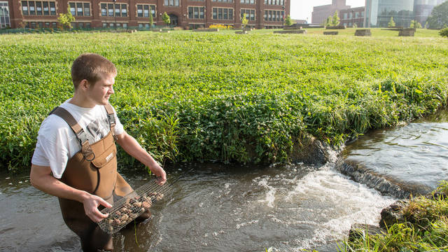 UWEC Students Collect Crayfish near Minnie Creek