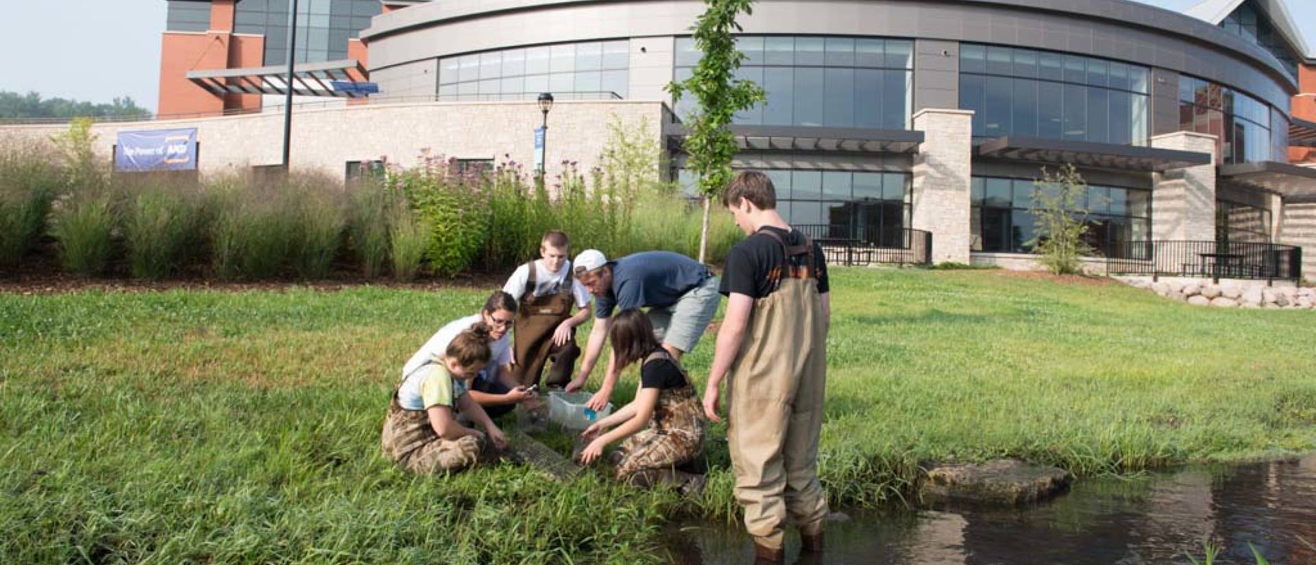 students collect crayfish