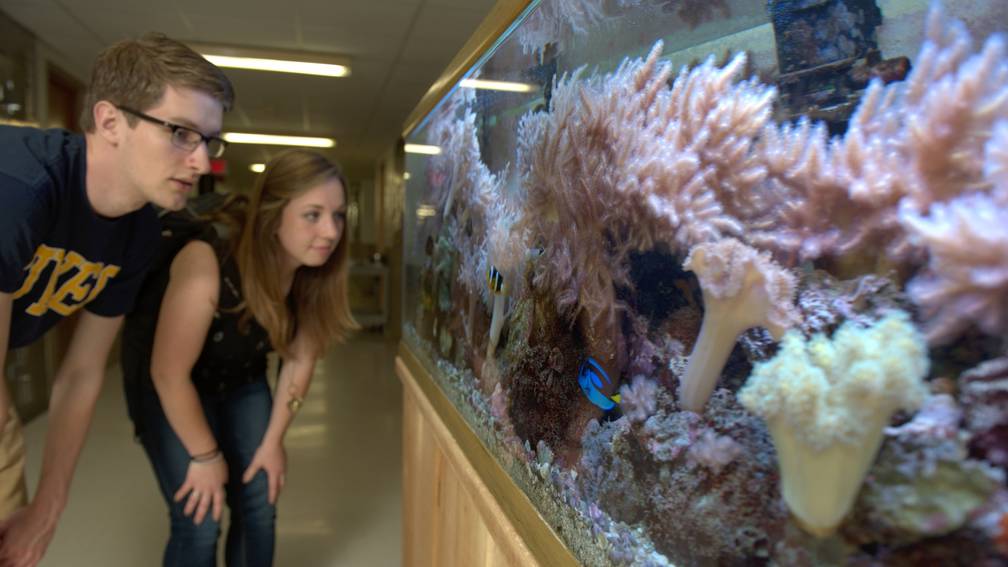 Biology students checking out the marine life inside one of our 125-gallon tanks