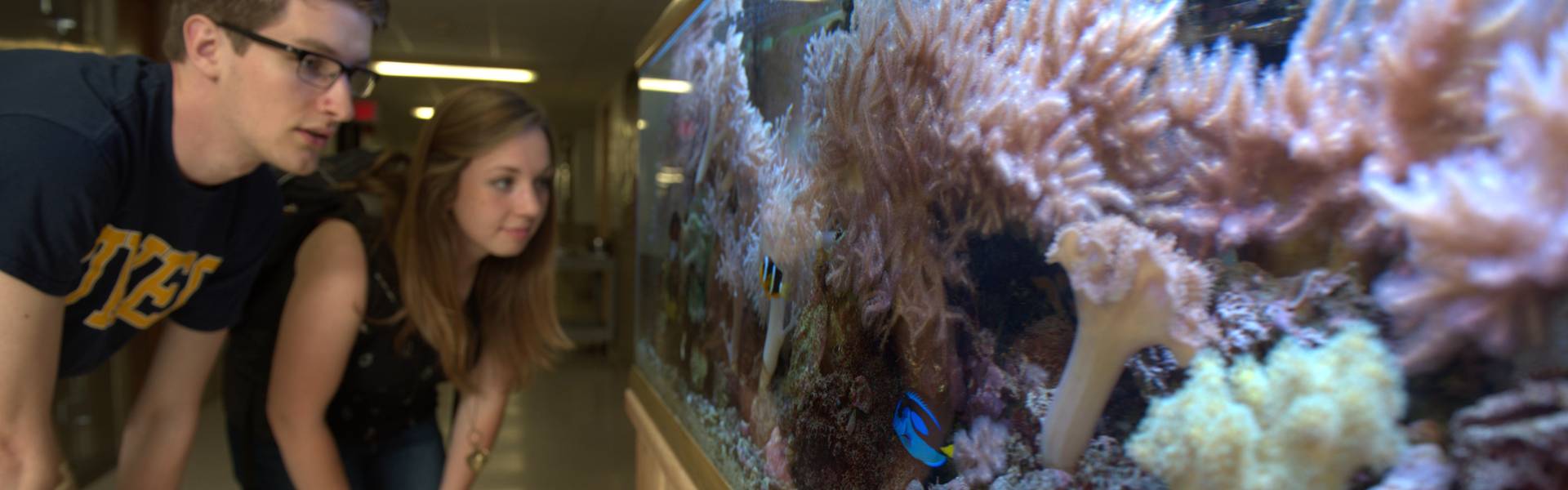 Two students crouch down and look at a fish tank in Phillips Hall.