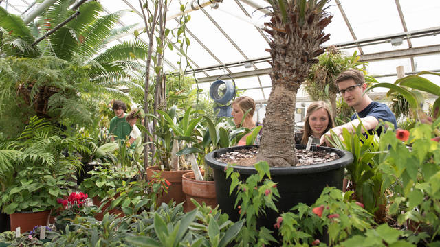 Biology students studying plant life in one of UWEC's three greenhouses