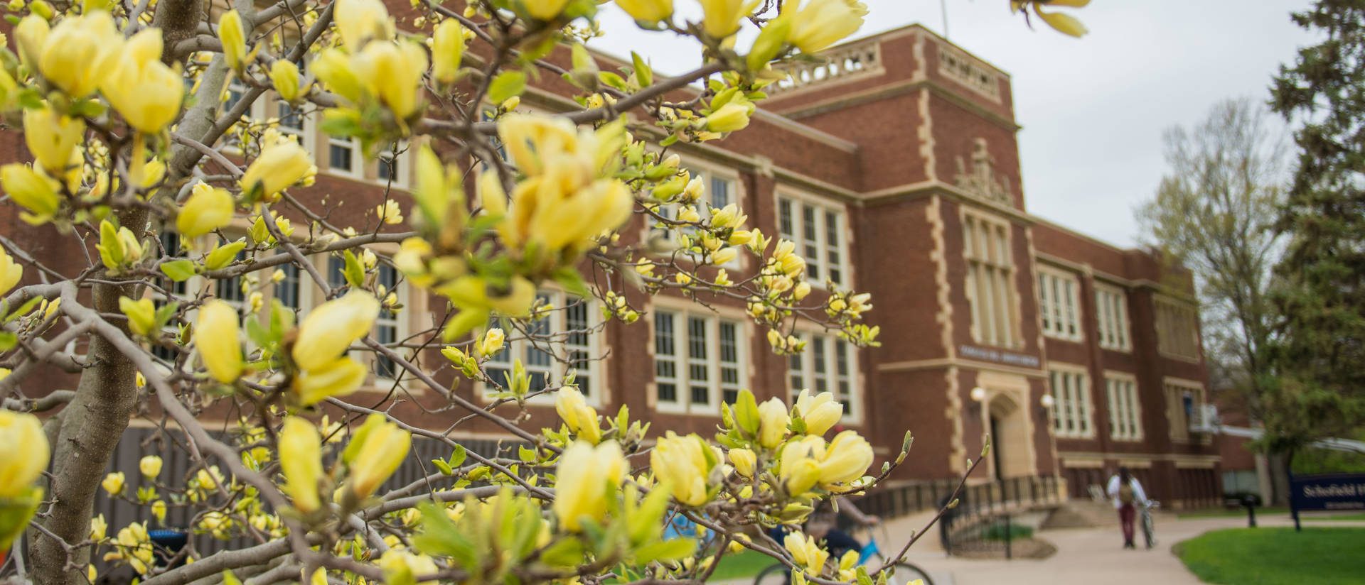 Exterior shot of Schofield Hall