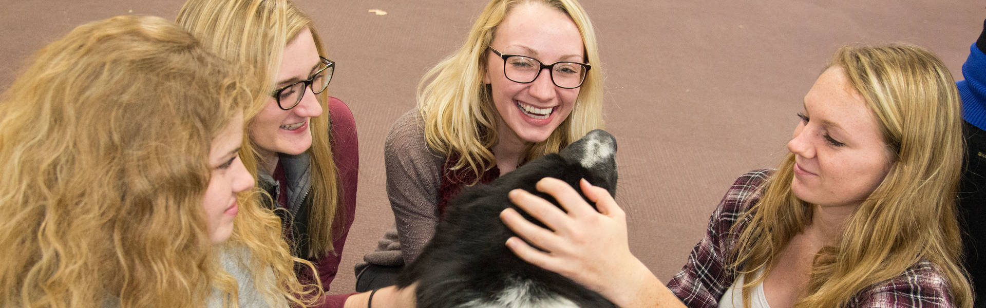 Finals Week therapy dogs in library.