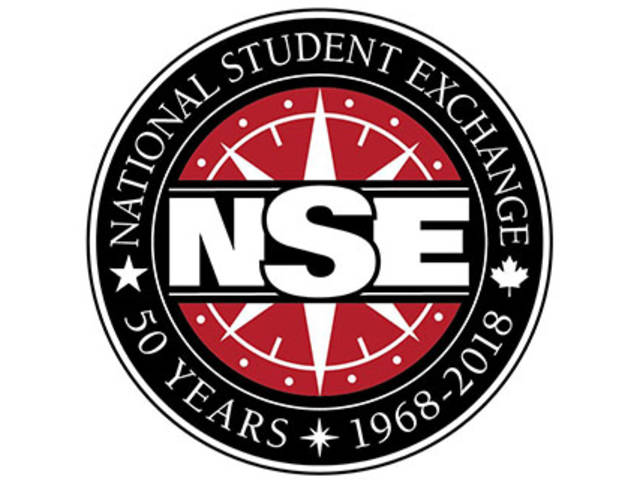 NSE logo